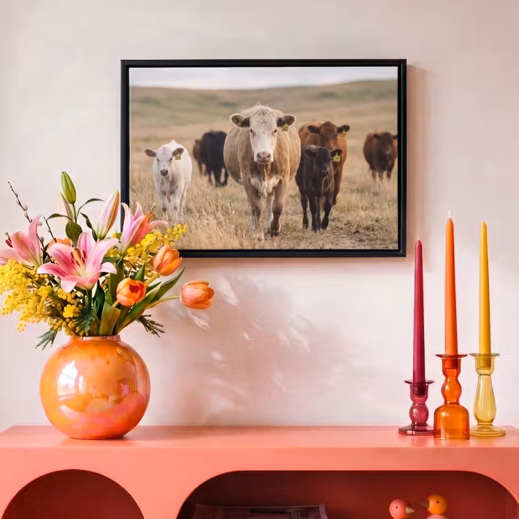 Canvas met lijst - Runderen - Kudde - Landschap - Weide - Rustig — 4