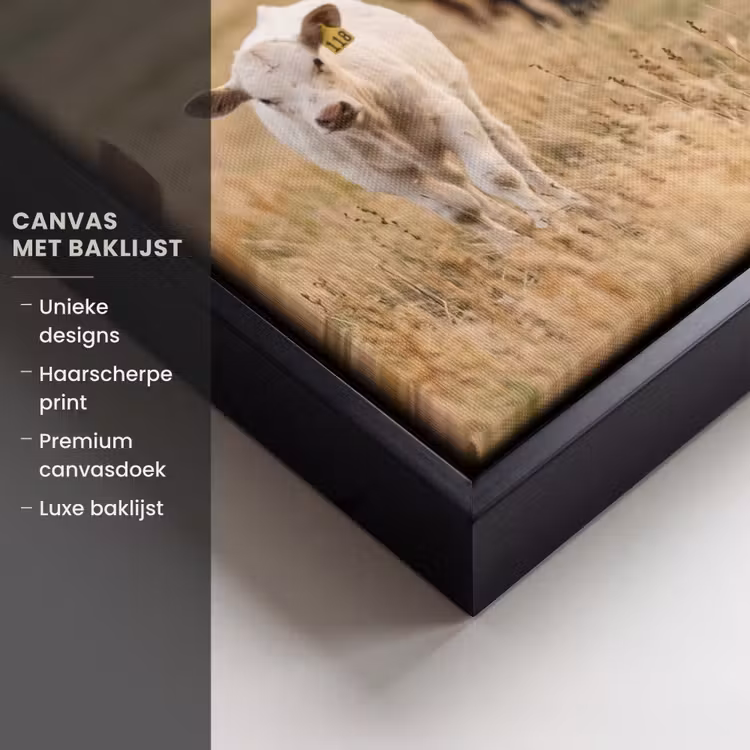 Canvas met lijst - Runderen - Kudde - Landschap - Weide - Rustig — 5