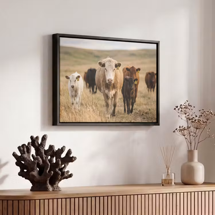 Canvas met lijst - Runderen - Kudde - Landschap - Weide - Rustig — 6
