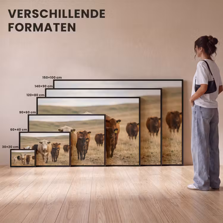Canvas met lijst - Runderen - Kudde - Landschap - Weide - Rustig — 7