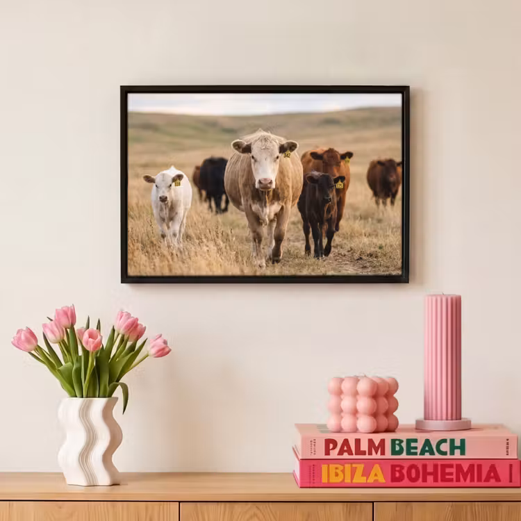 Canvas met lijst - Runderen - Kudde - Landschap - Weide - Rustig — 8