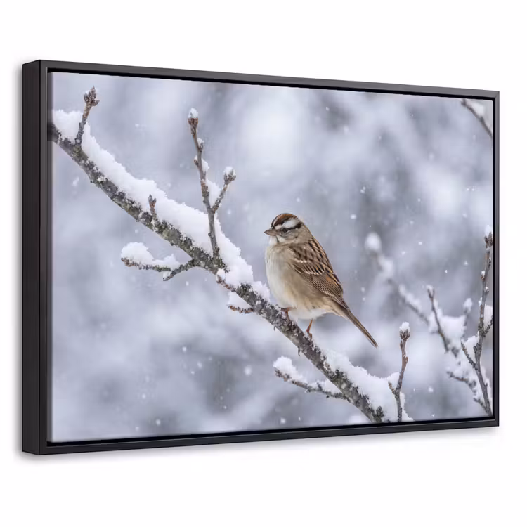 Canvas met lijst - Vogel - Tak - Sneeuw - Winter — 1