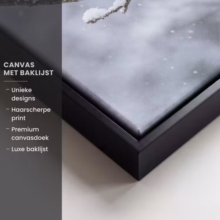 Canvas met lijst - Vogel - Tak - Sneeuw - Winter — 5