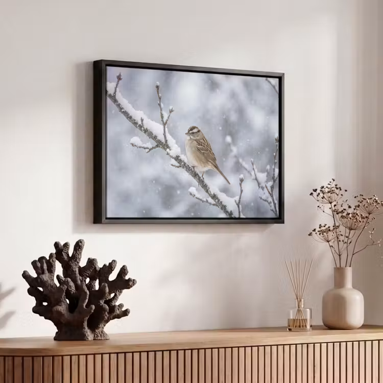 Canvas met lijst - Vogel - Tak - Sneeuw - Winter — 6