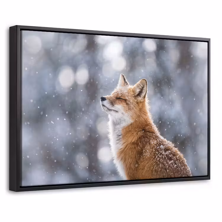 Canvas met lijst - Vos - Sneeuwval - Portret - Winter - Sfeervol — 1