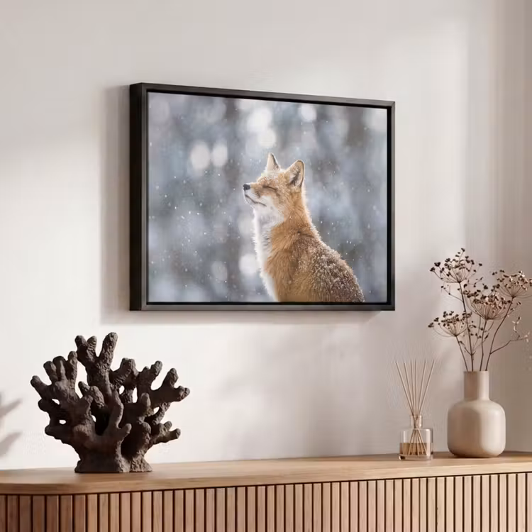 Canvas met lijst - Vos - Sneeuwval - Portret - Winter - Sfeervol — 6