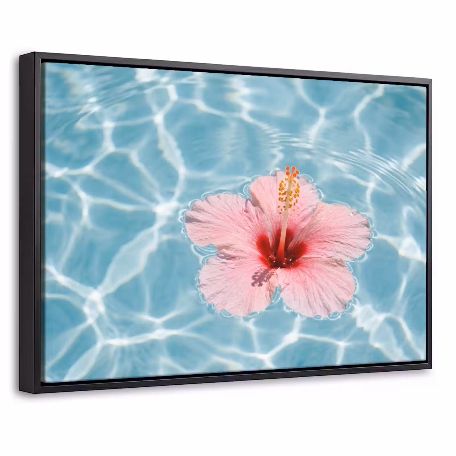 Canvas met lijst - Hibiscus - Water - Roze — 1