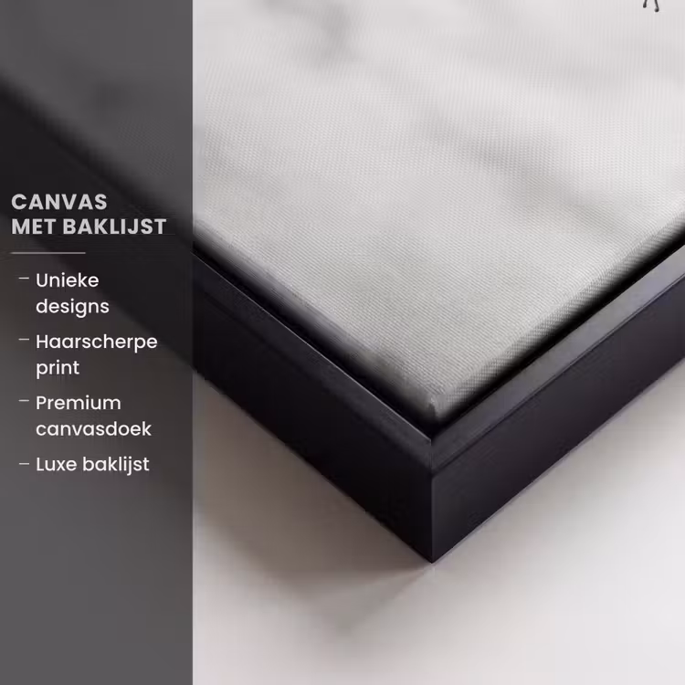 Canvas met lijst - Edgy - Vrouw - Zwart - Wit — 5
