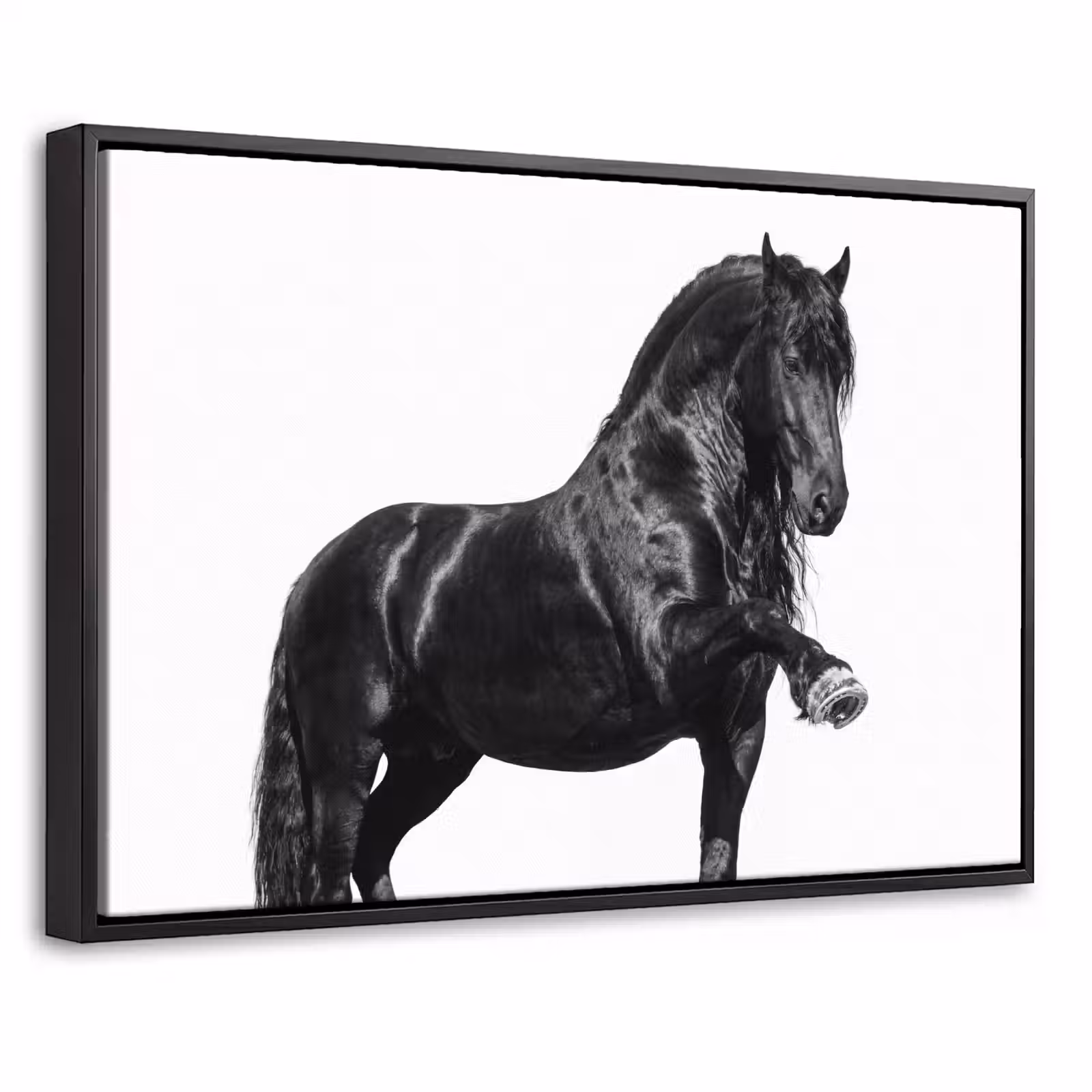 Canvas met lijst - Fries - Hengst - Modern — 1