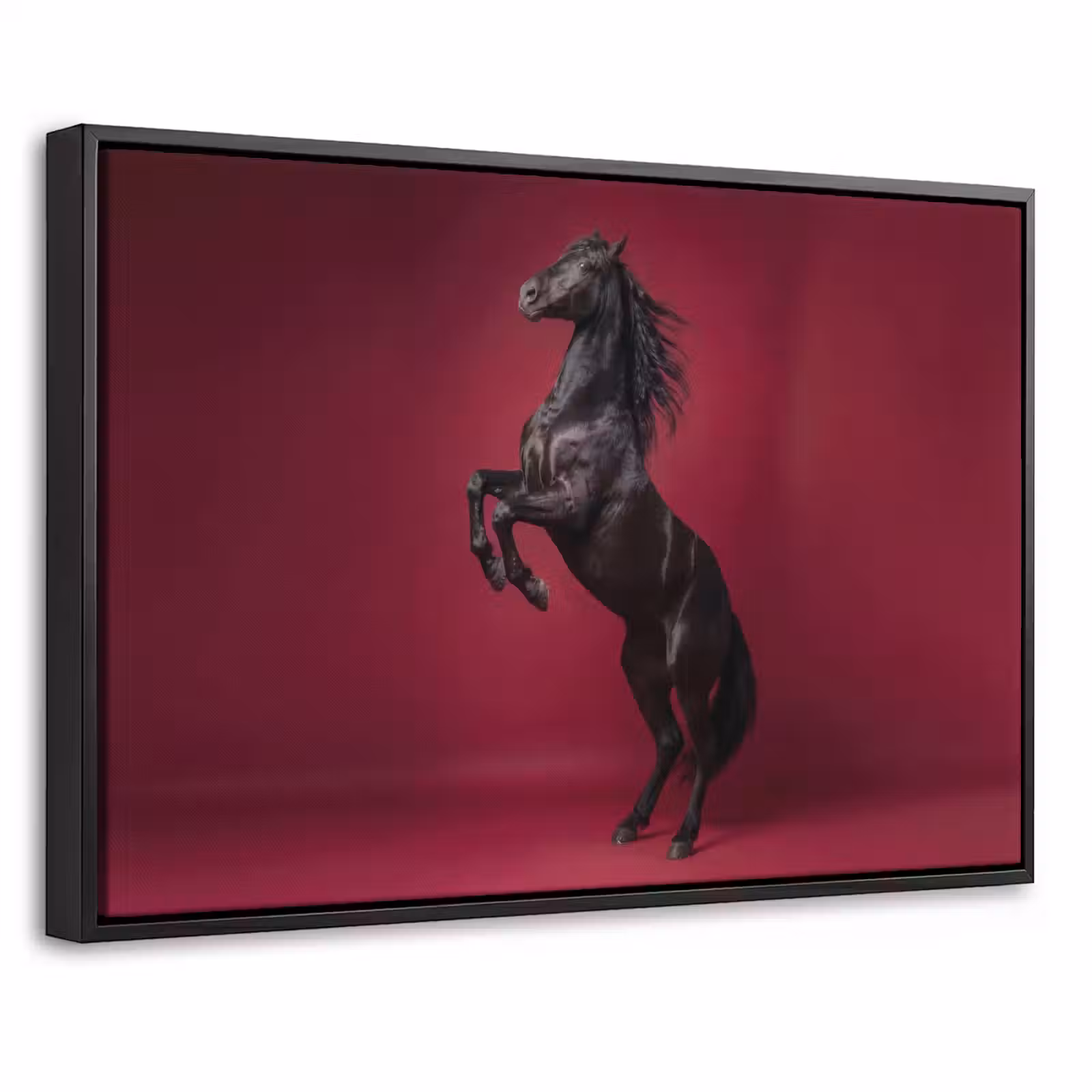 Canvas met lijst - Hengst - Steigert - Rood — 1