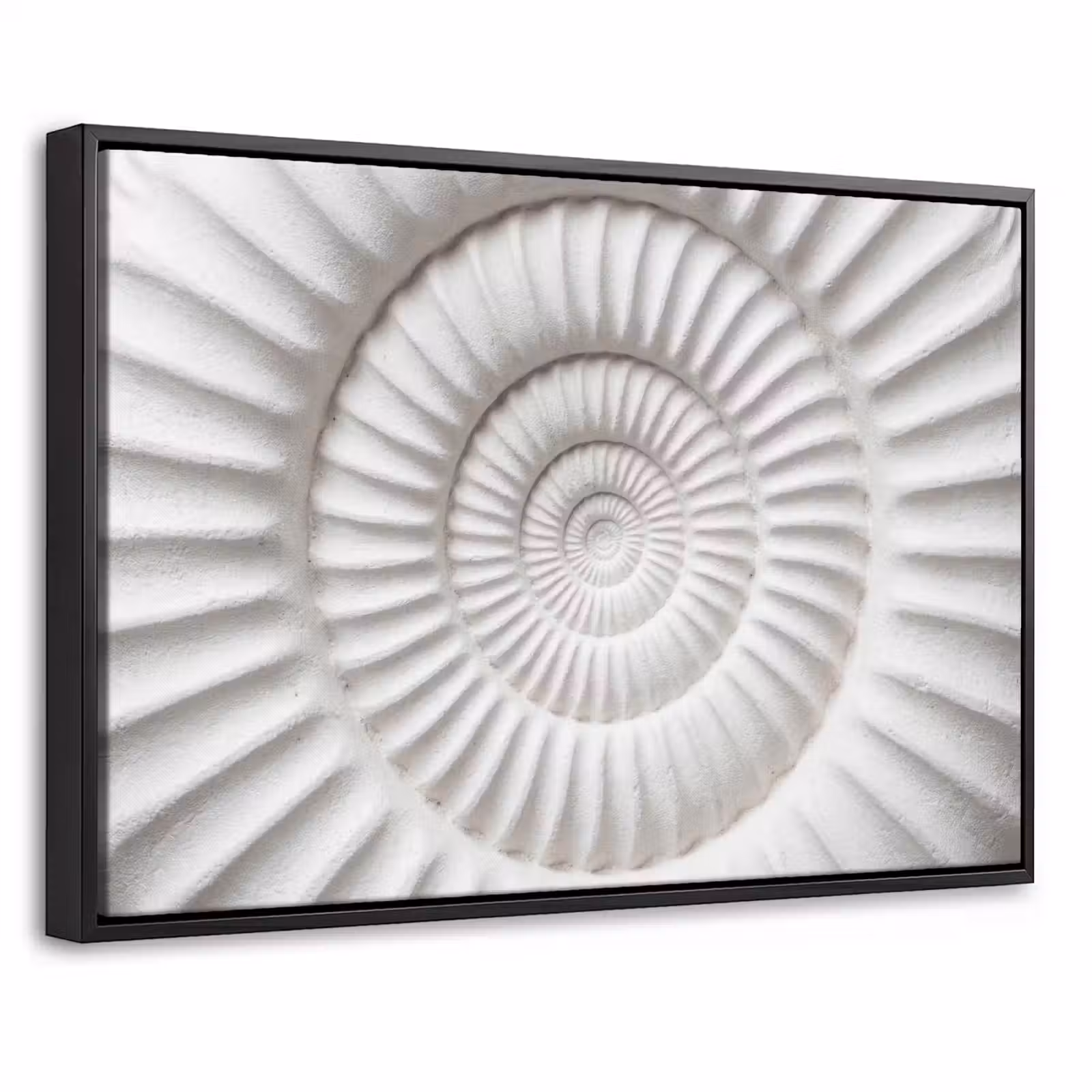 Canvas met lijst - Schelp - Spiraal - Wit — 1