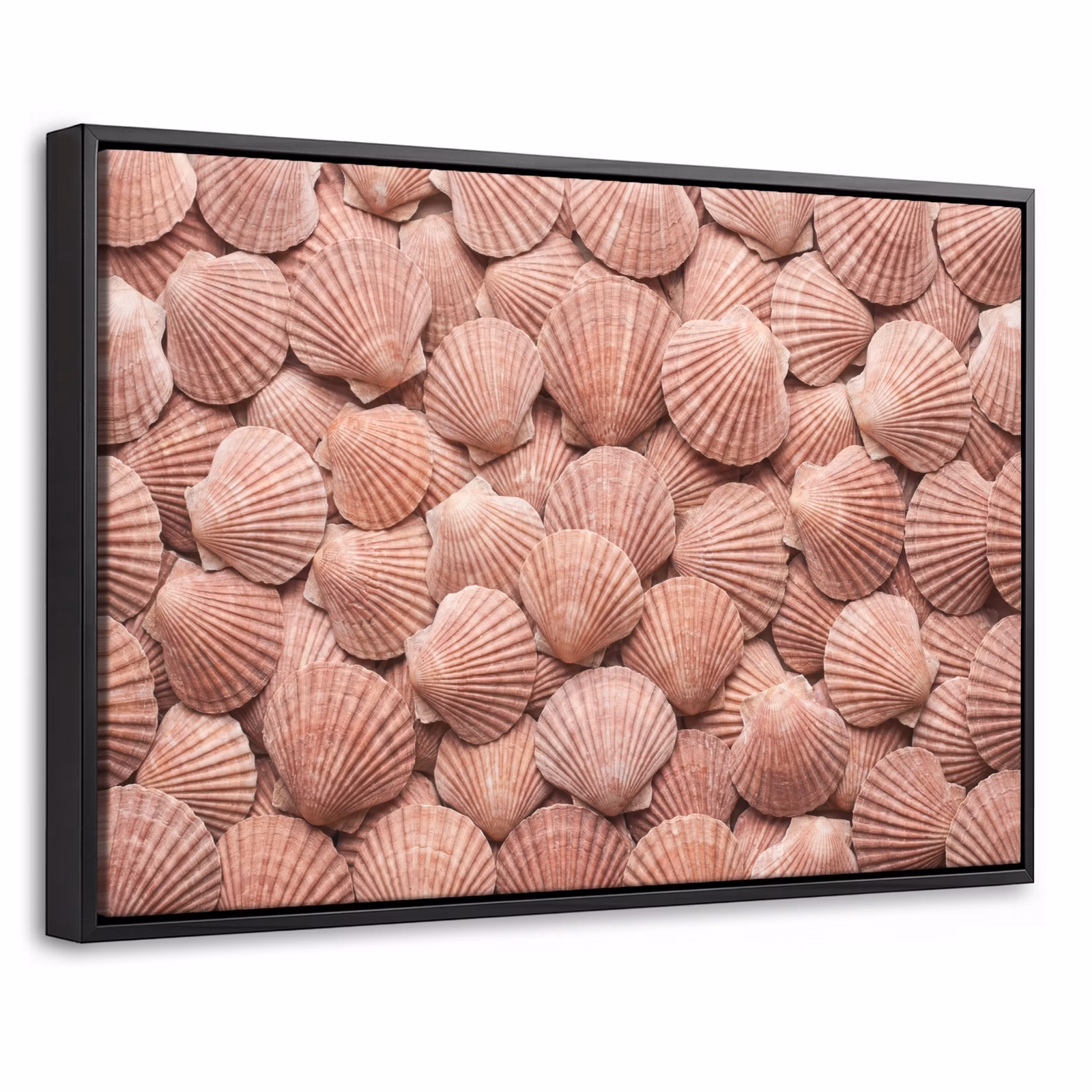Canvas met lijst - Schelpen - Patroon - Roze — 1