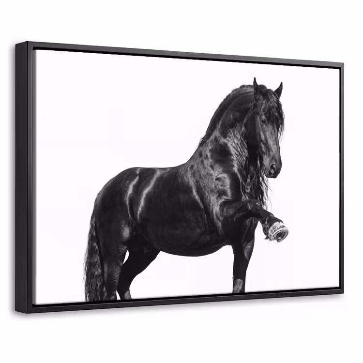 Canvas met lijst - Fries - Hengst - Modern — 1