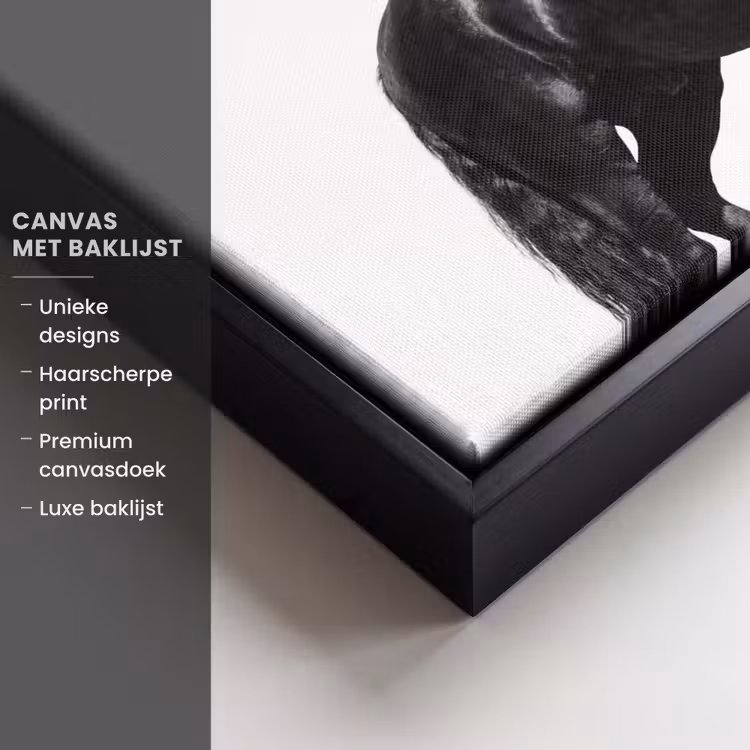 Canvas met lijst - Fries - Hengst - Modern — 5
