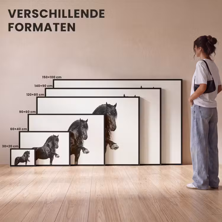 Canvas met lijst - Fries - Hengst - Modern — 7