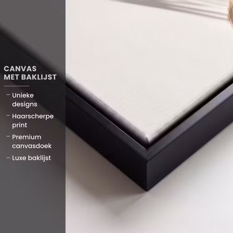 Canvas met lijst - Kokosnoten - Bruin - Shaduw — 5