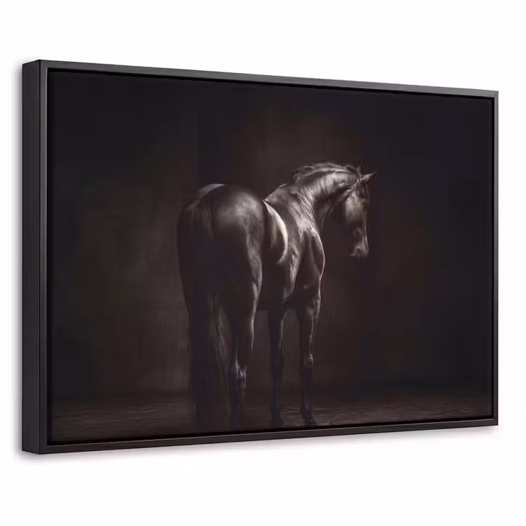Canvas met lijst - Krachtig - Paard - Donker — 1