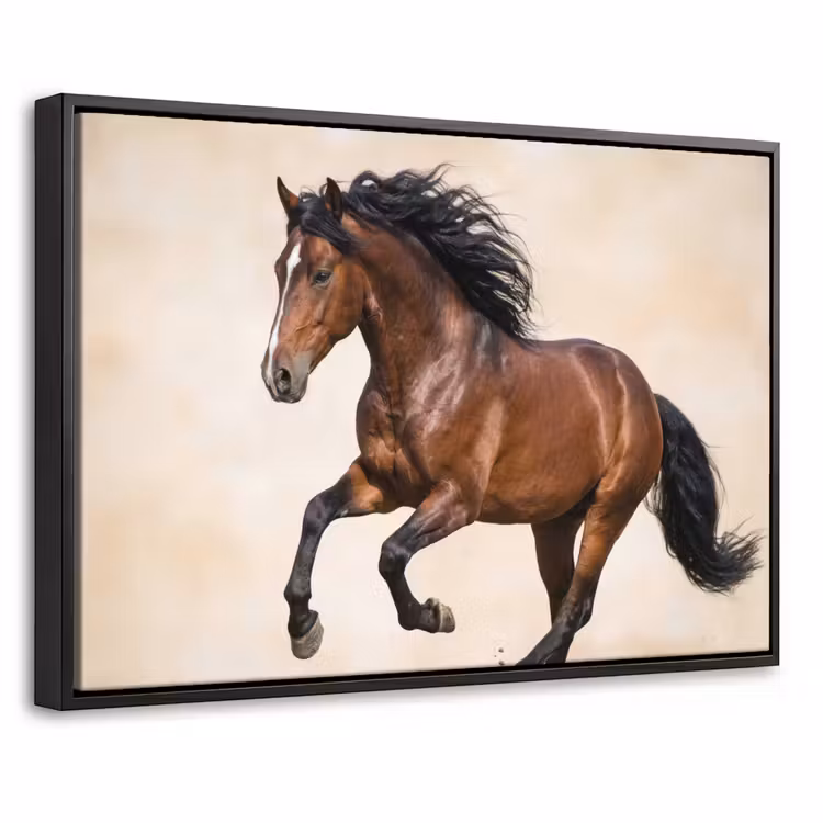 Canvas met lijst - Paard - Galop - Energie — 1