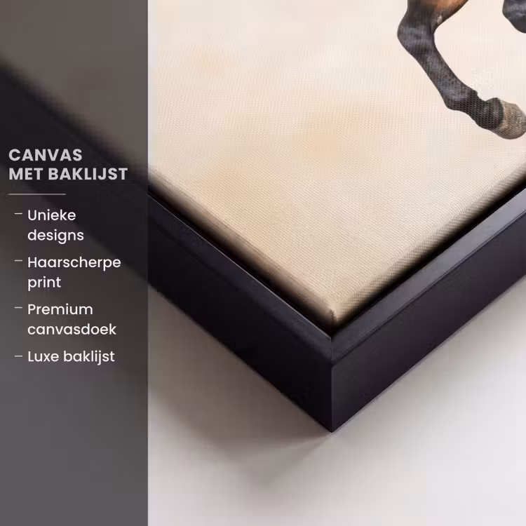 Canvas met lijst - Paard - Galop - Energie — 5