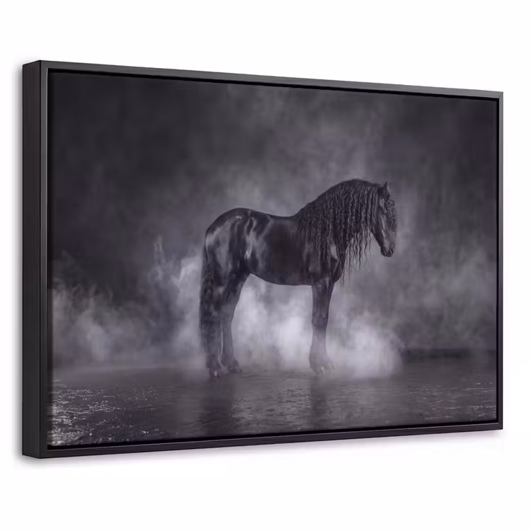 Canvas met lijst - Paard - Magisch - Zwart — 1