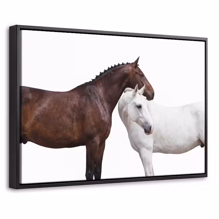 Canvas met lijst - Paard - Modern - Balans — 1