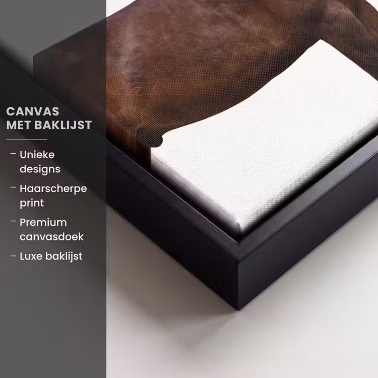 Canvas met lijst - Paard - Modern - Balans — 5