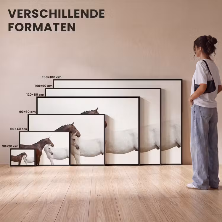 Canvas met lijst - Paard - Modern - Balans — 7