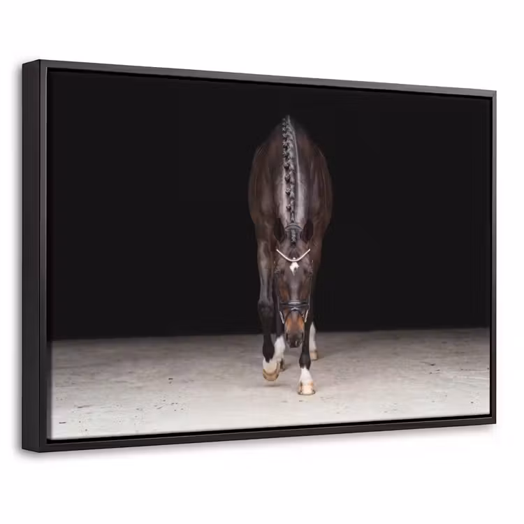 Canvas met lijst - Paard - Modern - Portret — 1