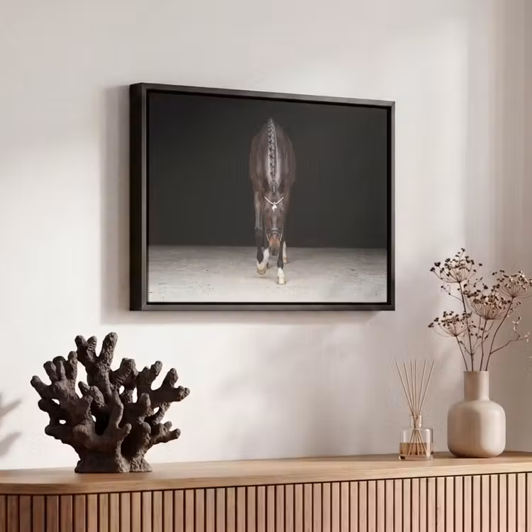 Canvas met lijst - Paard - Modern - Portret — 6
