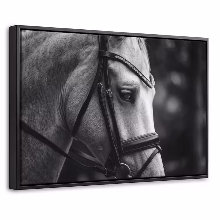 Canvas met lijst - Paard - Schimmel - Portret — 1