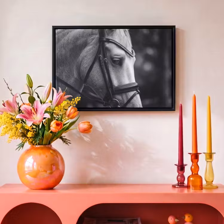 Canvas met lijst - Paard - Schimmel - Portret — 4