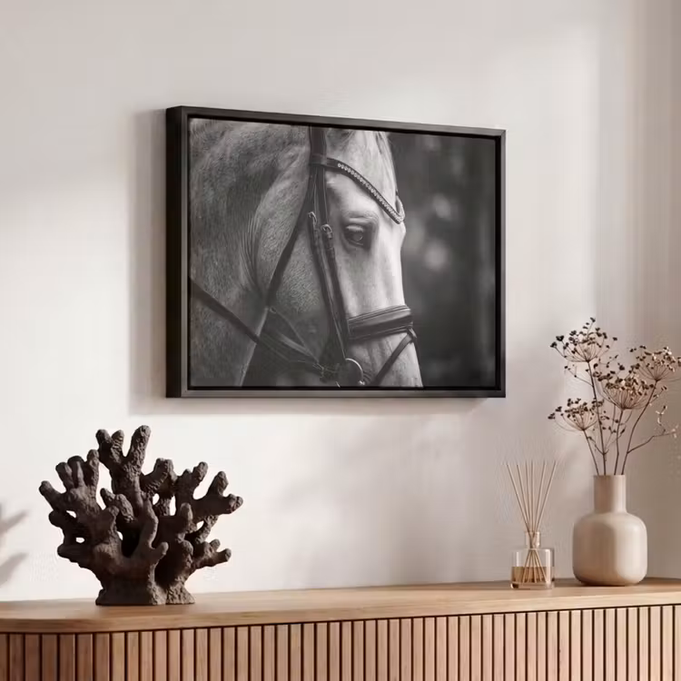 Canvas met lijst - Paard - Schimmel - Portret — 6