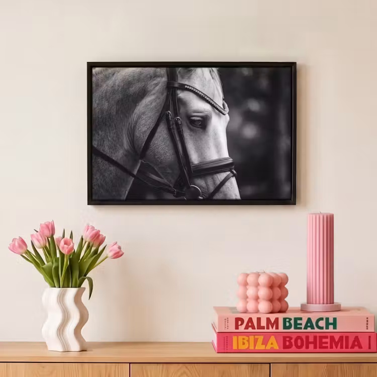 Canvas met lijst - Paard - Schimmel - Portret — 8