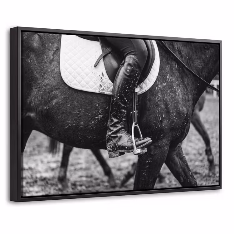 Canvas met lijst - Paard - Sport - Zwart - Wit — 1