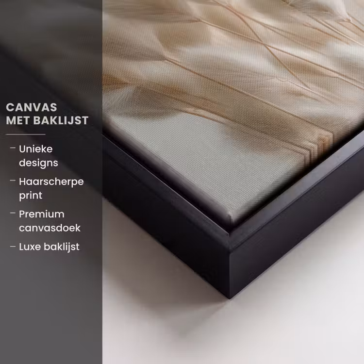 Canvas met lijst - Pluimen - Beige - Minimalistisch — 5