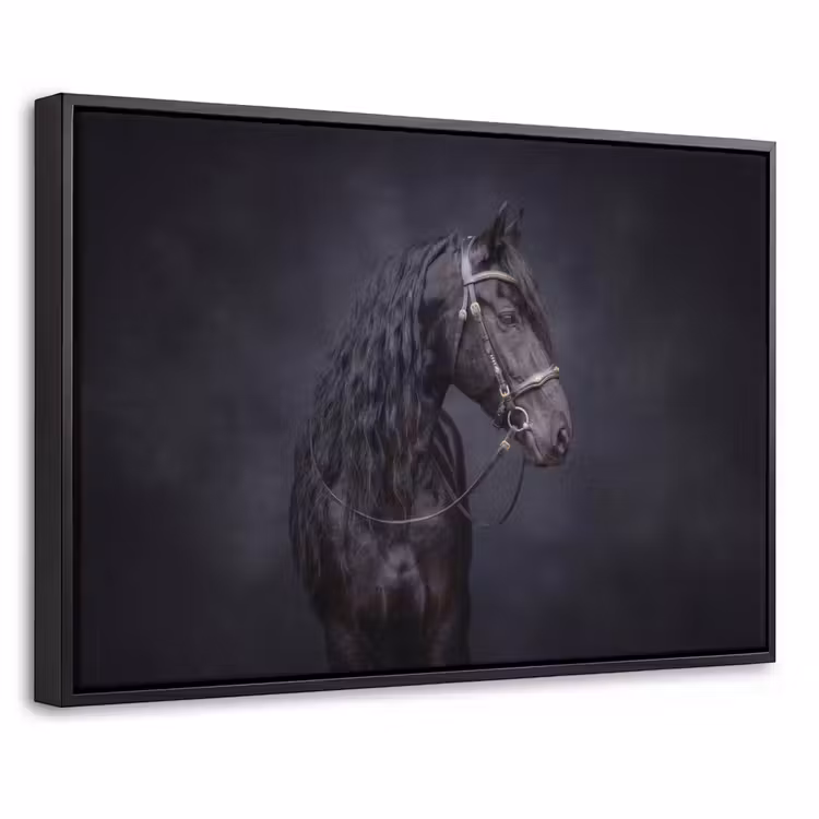 Canvas met lijst - Portret - Paard - Donker — 1