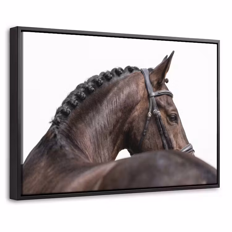Canvas met lijst - Portret - Paard - Elegant — 1
