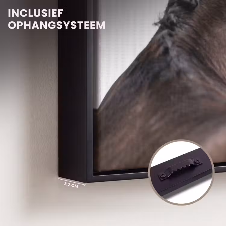 Canvas met lijst - Portret - Paard - Elegant — 3