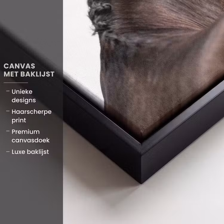 Canvas met lijst - Portret - Paard - Elegant — 5