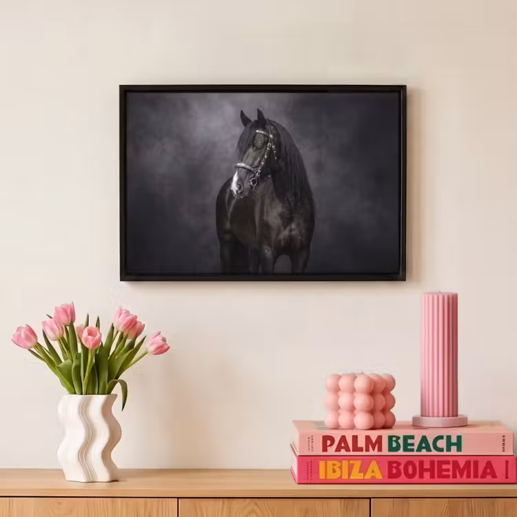 Canvas met lijst - Portret - Paard - Zwart — 8