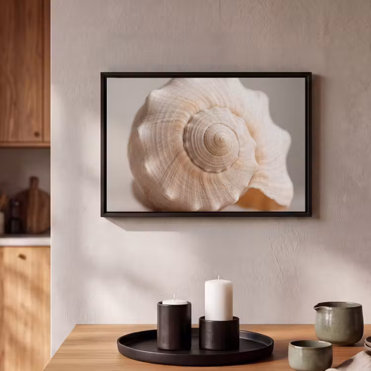 Canvas met lijst - Schelp - Detail - Beige — 2