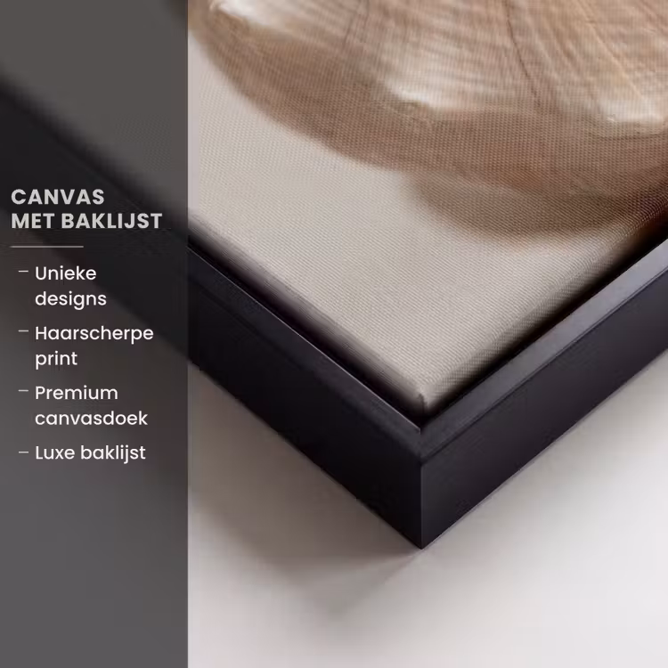 Canvas met lijst - Schelp - Detail - Beige — 5