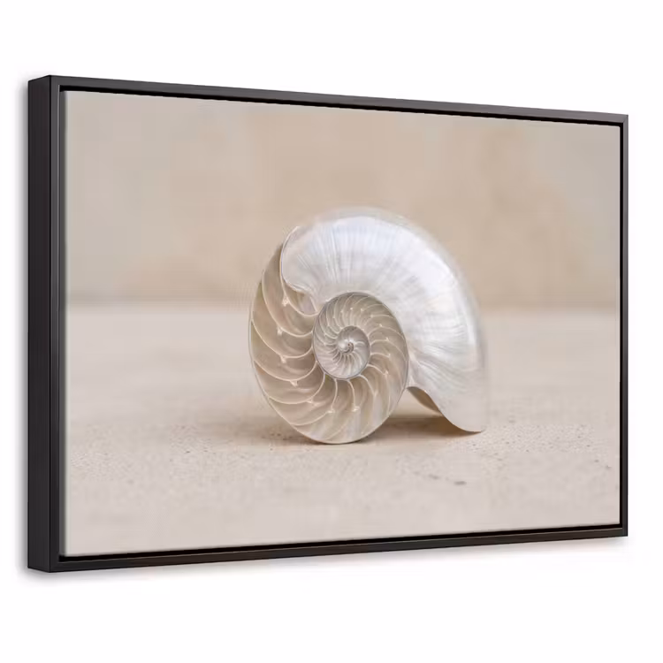 Canvas met lijst - Schelp - Spiraal - Beige — 1