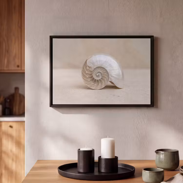 Canvas met lijst - Schelp - Spiraal - Beige — 2