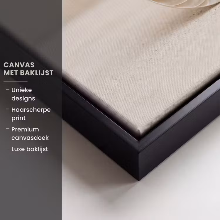 Canvas met lijst - Schelp - Spiraal - Beige — 5