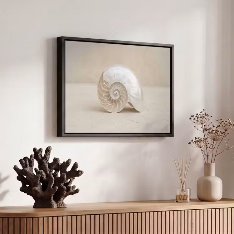 Canvas met lijst - Schelp - Spiraal - Beige — 6