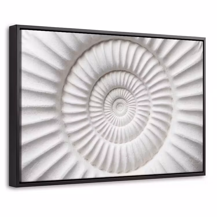 Canvas met lijst - Schelp - Spiraal - Wit — 1