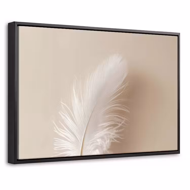 Canvas met lijst - Veer - Minimalistisch - Roze — 1