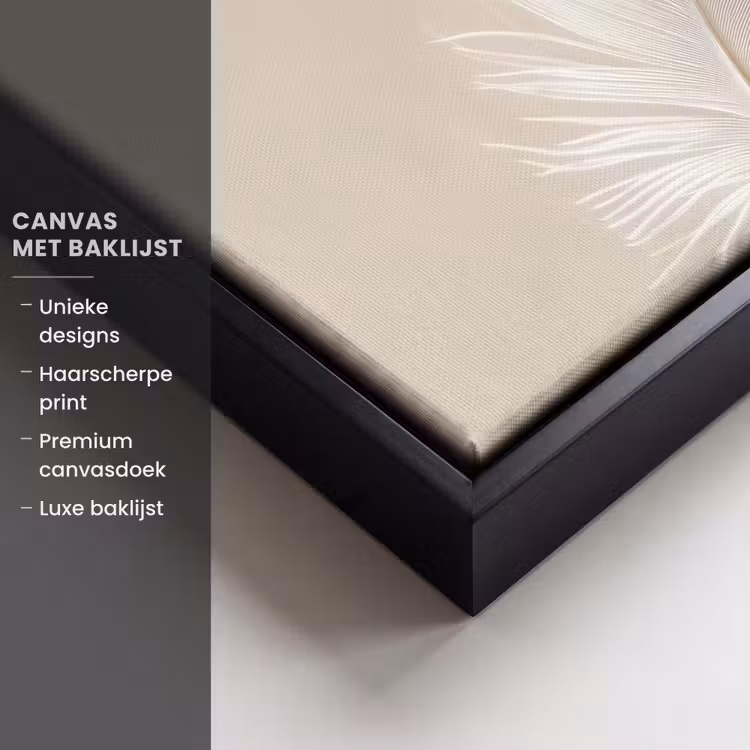 Canvas met lijst - Veer - Minimalistisch - Roze — 5
