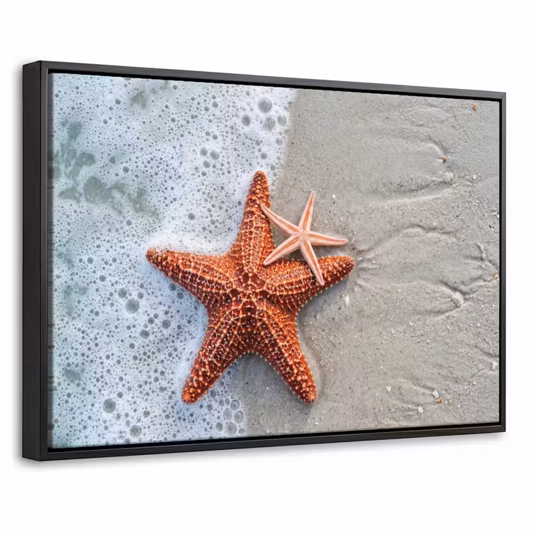 Canvas met lijst - Zeester - Strand - Zee — 1